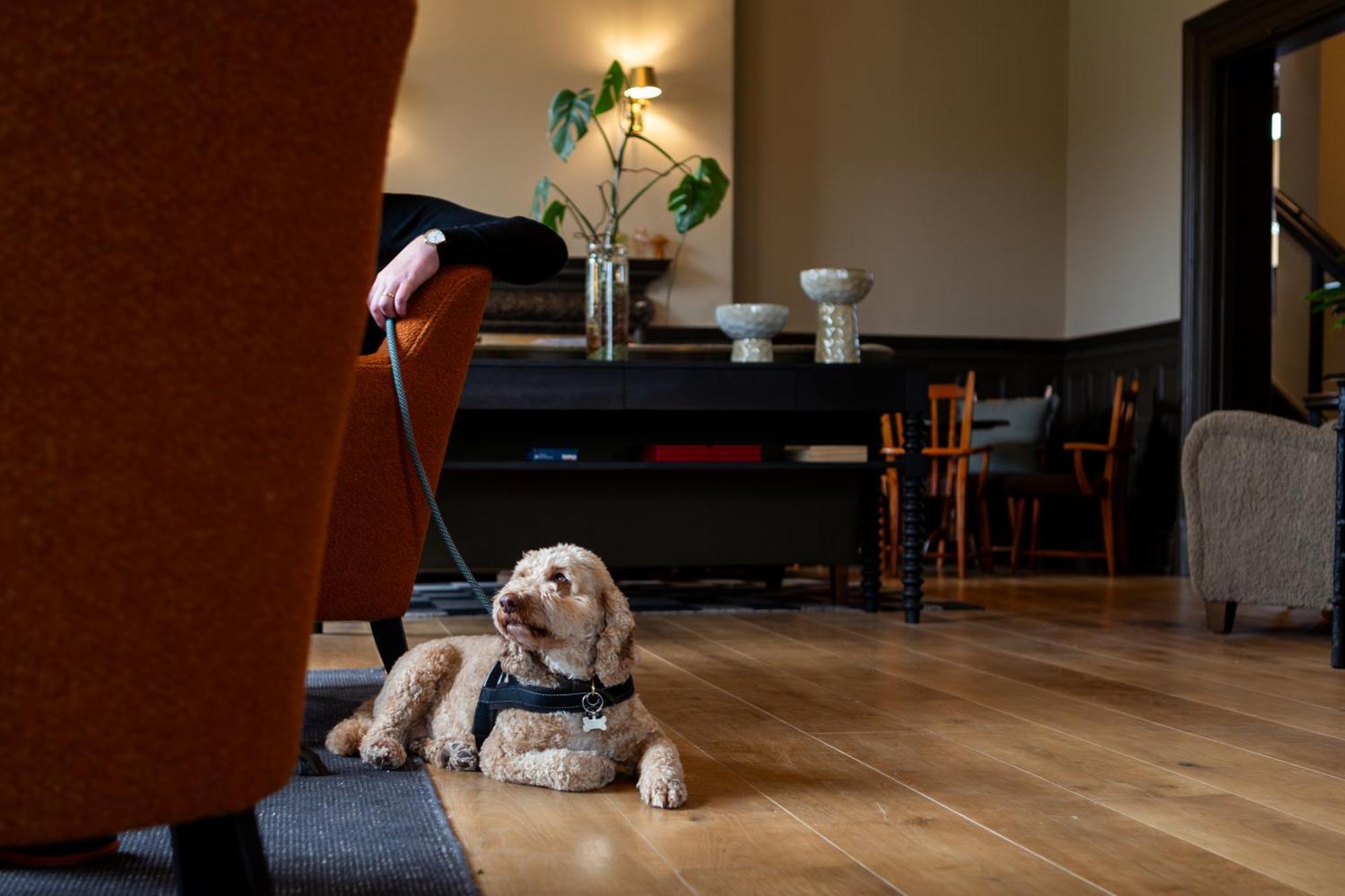 New Park Manor Hotel - A Luxury Family Hotel Brockenhurst Ngoại thất bức ảnh